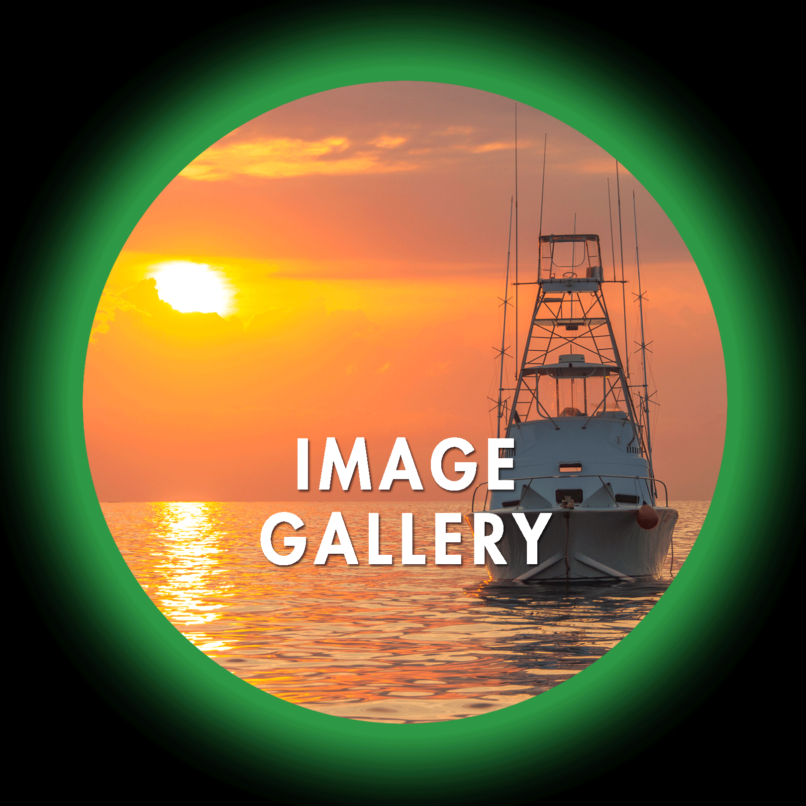 Image Gallery