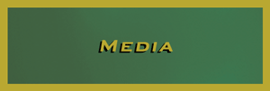 Media Button